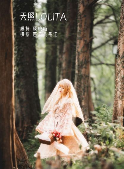 火影忍者全集完整版免费观看_HD手机免费观看完整